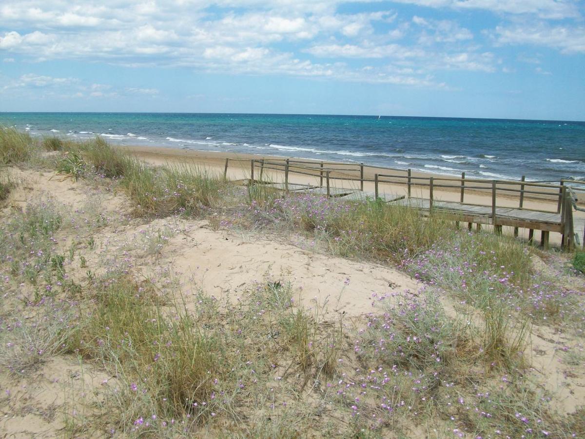 Roderic - Apartamento Junto Al Mar Oliva Exterior foto