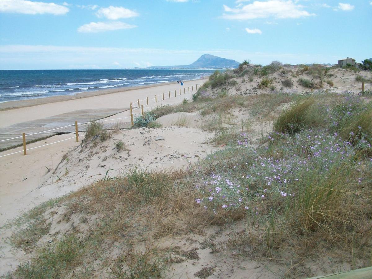 Roderic - Apartamento Junto Al Mar Oliva Exterior foto